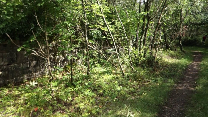 Ham Wood Viaduct in 2019.